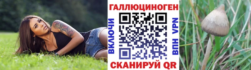 Псилоцибиновые грибы Psilocybe Абдулино